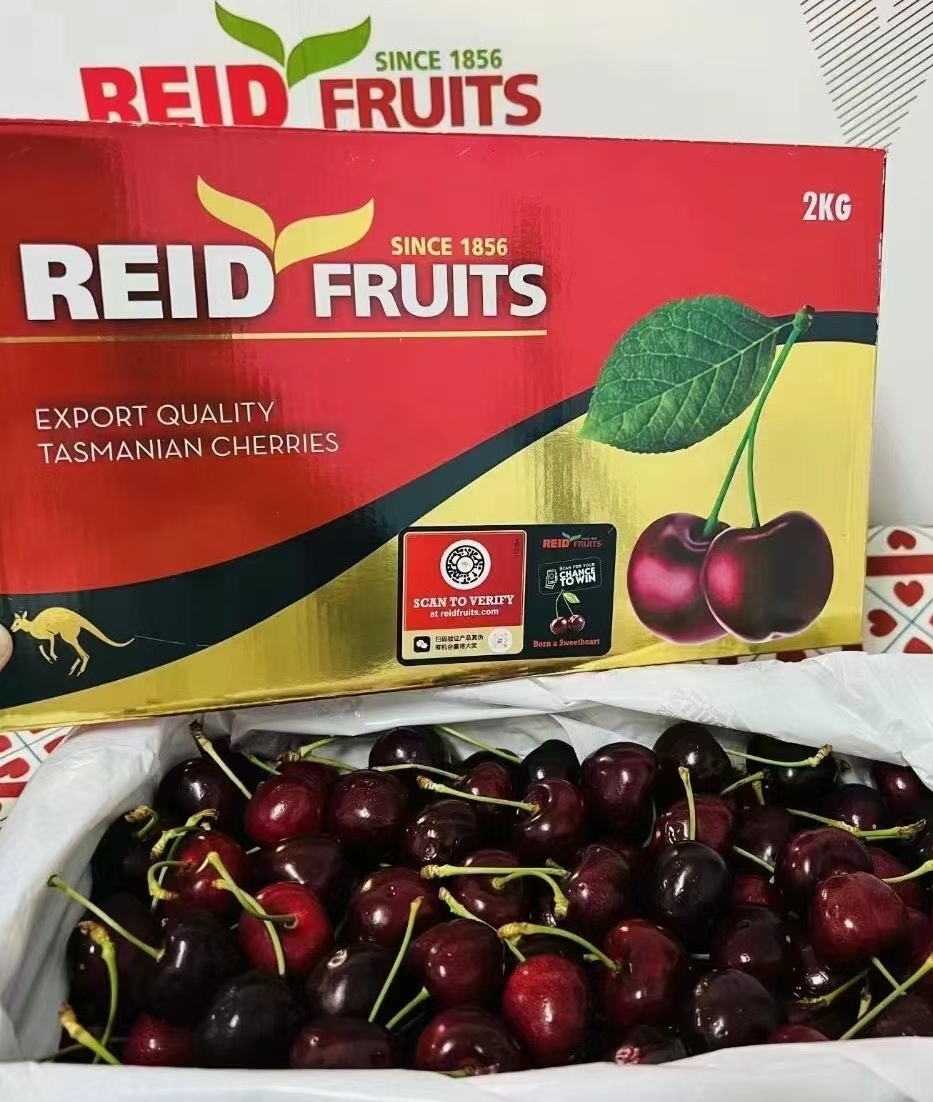澳洲顶级Reid FRUITS(塔斯马尼亚州）金袋鼠水果车厘子大樱桃2KG（4斤） 果园直发 澳洲进口 顺丰冷链直邮包邮  